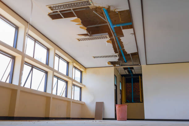 Best Flood damage cleanup  in Parkville, MO