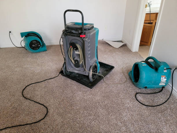 Best 24/7 water damage repair  in Parkville, MO