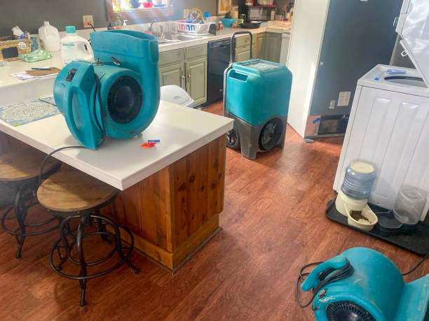 Best Commercial water damage restoration  in Parkville, MO