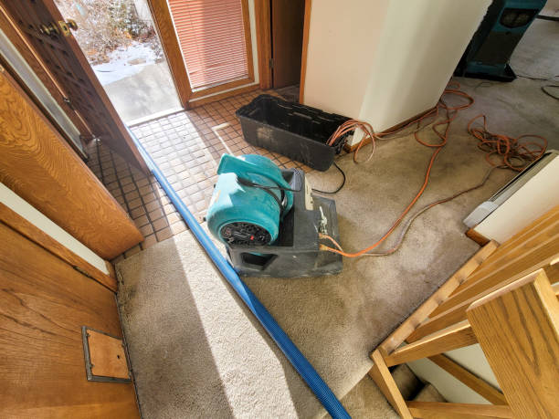 Best Fire Damage Restoration  in Parkville, MO