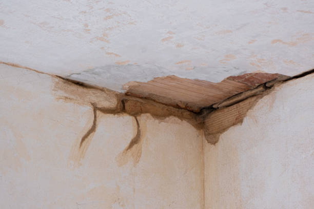 Water damage restoration mold remediation in Parkville, MO