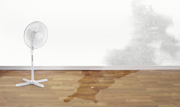 Parkville, MO Water damage restoration Company