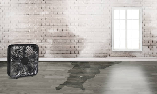 Best Residential water damage restoration  in Parkville, MO