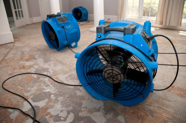 Best Water damage contractors near me  in Parkville, MO