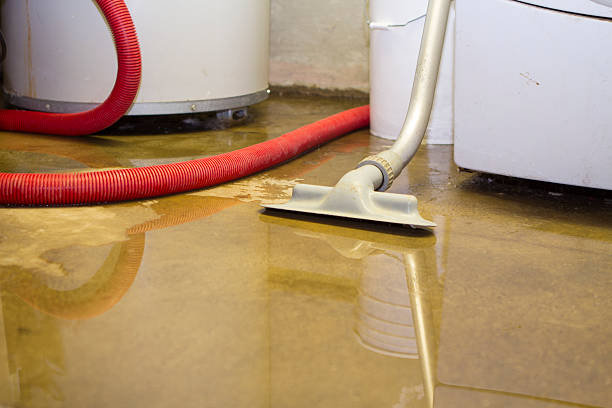 Best Emergency water extraction  in Parkville, MO
