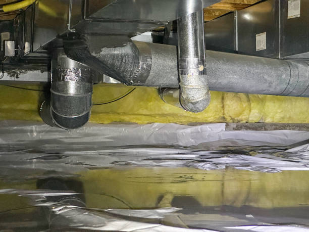 Best Water damage contractors near me  in Parkville, MO