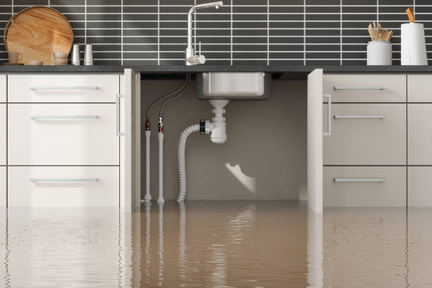 Best Local water damage restoration  in Parkville, MO