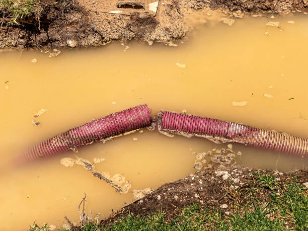 Best Carpet water damage restoration  in Parkville, MO