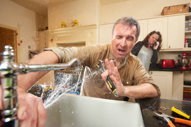 Best Water damage restoration cost  in Parkville, MO